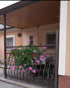 Gallery image of HODOSI Apartments in Veľký Meder