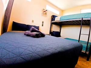 Posto letto in camera con 2 letti a castello. di Rose Room literas , Paseo Durango a Durango