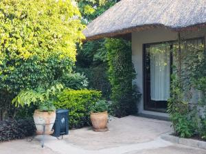 Zahrada ubytování Sunbirds Lodge Chobe