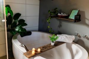 a bathroom with a bath tub with a plant and candles at Loft no Morro da Borússia in Osório +53 photos