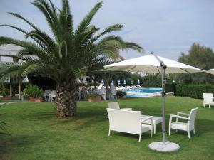 a palm tree and chairs and an umbrella next to a pool at Residence Club Barbara in Ostuni
