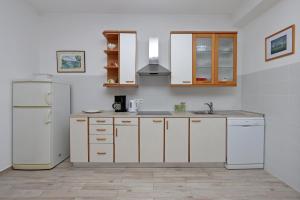 Η κουζίνα ή μικρή κουζίνα στο Apartments with parking space Suha Punta, Rab - 17239 +24 φωτογραφίες