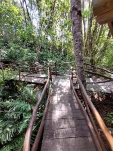 a wooden bridge in the middle of a forest at Refúgio Morada do Rei in Rio dos Bugres
