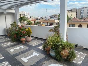 a balcony with potted plants on a roof at Touty in Dakan +4 photos