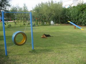 a dog laying on the grass in a playground at Residence Club Barbara in Ostuni