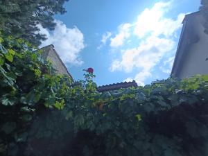 Mynd úr myndasafni af Pension Archa Mikulov í Mikulov