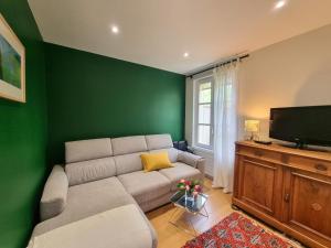 un soggiorno con divano e TV a schermo piatto di Gîte charmant avec jardin, terrasse et tout confort à Saint-Galmier - FR-1-496-293 a Saint-Galmier