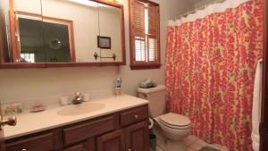 un bagno con lavandino, water e tenda da doccia di The Duck Pond Cottage a Cape May Altre 32 foto