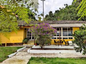 Casa amarilla con patio y mesa en Nativo Casa Colonial, en Salento