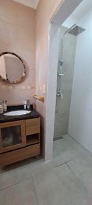 ein Badezimmer mit Dusche, Waschbecken und Spiegel in der Unterkunft Despertar Urbano in Corrientes