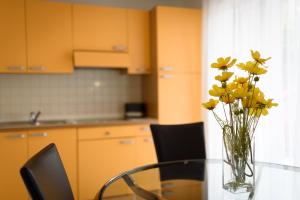 Kuchyňa alebo kuchynka v ubytovaní Apartments Salona