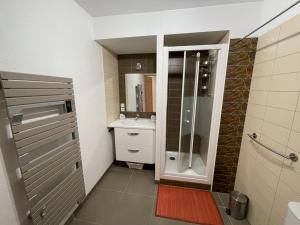 ein kleines Badezimmer mit Dusche und Waschbecken in der Unterkunft Bel appartement T3 avec balcon sud et wifi, proche pistes - FR-1-787-130 in Laveissière