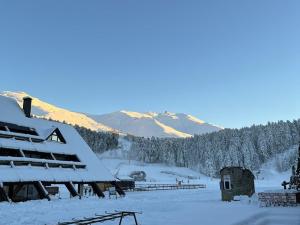 un tetto innevato di un edificio con una montagna sullo sfondo di Charmant Duplex pour 5 pers., Wi-Fi & Parking au Lioran - FR-1-787-108 a Laveissière