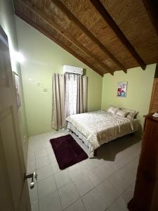 una camera da letto con un letto in una stanza con pareti verdi di Peaceful Tropical 2-Bedroom Villa a Montego Bay Altre 3 foto