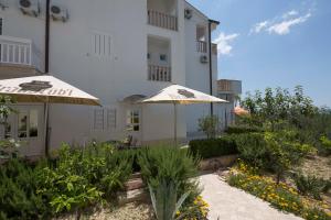 Vườn quanh Villa Ruza