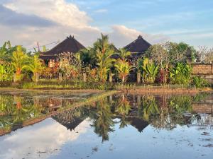 a group oftropical houses with their reflections in the water at Precious Journey Retreat in Ubud