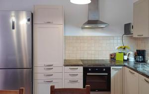 Kuchyňa alebo kuchynka v ubytovaní Holiday Home Pamici V
