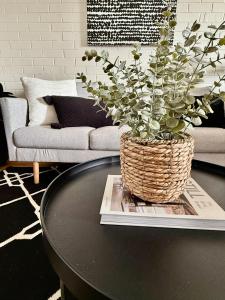 Χώρος καθιστικού στο 508 Light And Delightful 1br Balcony-parkng-pool
