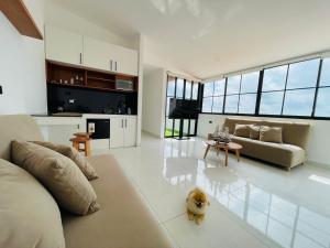 a living room with a couch and a dog in it at GLAMSUITE Montañita in Montañita