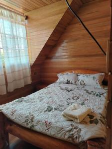 Gallery image of Bungalow Poetare buenos días in Oxapampa