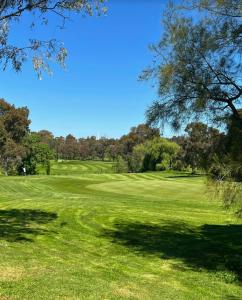 a view of the green at a golf course at Quirky and Colourful on Foodies Favourite Lygon St in Melbourne