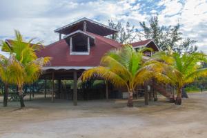 Κήπος έξω από το Sea Eye Hotel - Tropical Building