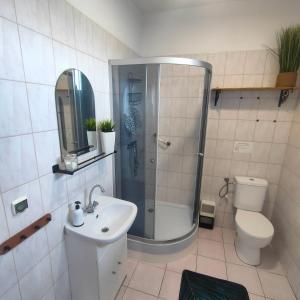 a bathroom with a shower and a sink and a toilet at Agrogospodarstwo HALINA ŁUC in Słajszewo +44 photos