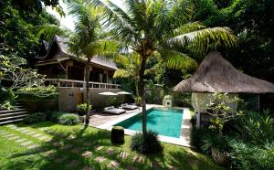 a backyard with a swimming pool and a house at Kalapa Boutique Resort & Yoga in Canggu