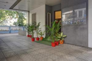 Fotografie z fotogalerie ubytování Townhouse Oak Orchard Hotel v destinaci Puné