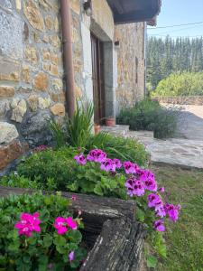 A garden outside Caserío Sautu Goikoa