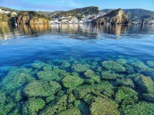 um grande corpo de água com rochas e algas em Ponza Holiday Homes - Santa Maria em Ponza