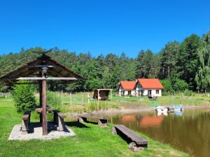 Afbeelding uit fotogalerij van Kemping i Domki nad stawem in Harsz +100 foto's
