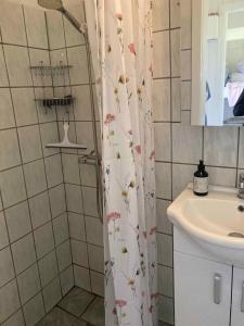 a bathroom with a shower curtain with flowers on it at Holiday Home By The Water In Rødvig, Stevns in Rødvig