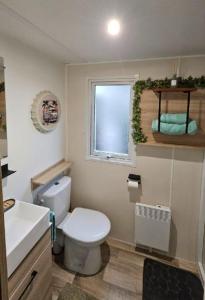 Un baño con inodoro, lavabo y ventana. en MOBILE-HOME Bonne Anse plage, en Les Mathes