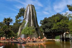 un grupo de flamencos parados en el agua frente a una fuente en MOBILE-HOME Bonne Anse plage, en Les Mathes