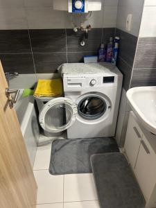 a small bathroom with a washing machine and a sink at Rozvadov útulný apartmán in Tachov