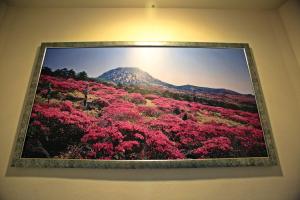 una foto de una montaña con flores rosas en una pared en Champion Hotel, en Jeju