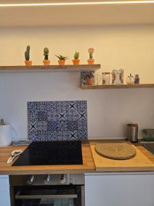 a kitchen with a counter with plants on shelves at La BuCa - in Como - Elegant apartment, 150 sq m - Private covered parking - Private terrace - Just 1300 mt from downtown in Como