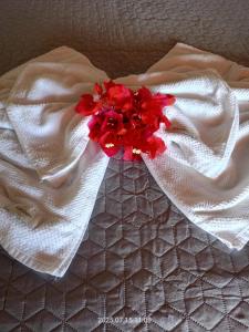 プレアにあるHospedaria Ventos do Preáの白毛布(赤い花のベッドに敷かれたもの)