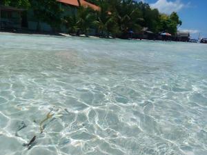 a beach with crystal clear water and palm trees at Magic's Place Beach Resort in Saavedra