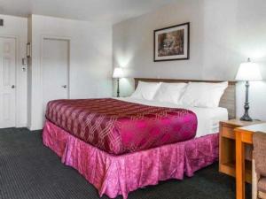 een hotelkamer met een groot bed met roze lakens bij Econo Lodge Inn & Suites Durango in Durango