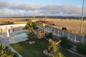 a backyard with a swimming pool and a field with cows at Casa Vacanze Agriturismo Cilone in Ragusa
