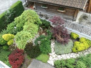 Zahrada ubytování Hotel Garni Sottobosco