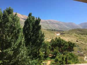 a group of trees on a hill with mountains in the background at CentreToni Arida in Al Arz
