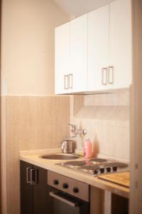 Kuchyň nebo kuchyňský kout v ubytování Ludovisi seminterrato loft