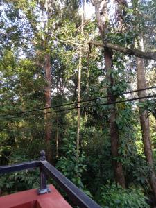 a view of the forest from the top of a bridge at aka Spice House in Murutalawa +9 photos