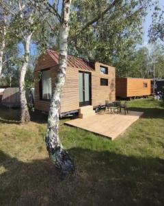 Κήπος έξω από το Tiny house