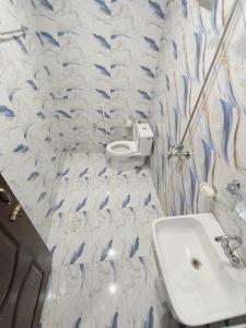 a bathroom with a sink and a toilet at Decent Luxury Hotel Skardu in Skardu +37 photos