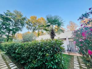 a palm tree in front of a house at Garden Villas in Donji Štoj