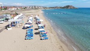 a group of beach chairs and umbrellas on a beach at Sea view and Aqua park Apartments at Caesar Blue Complex in Iskele
